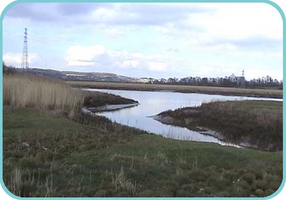 The River Medway at Halling thumb
