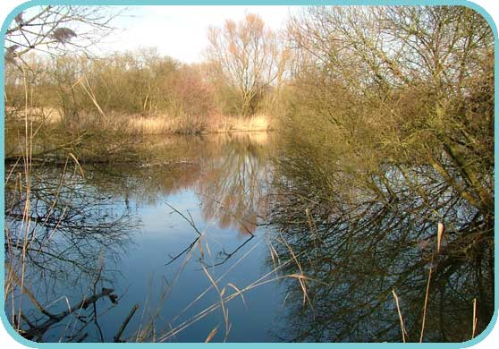 The 'Boot' lake restoration thumb