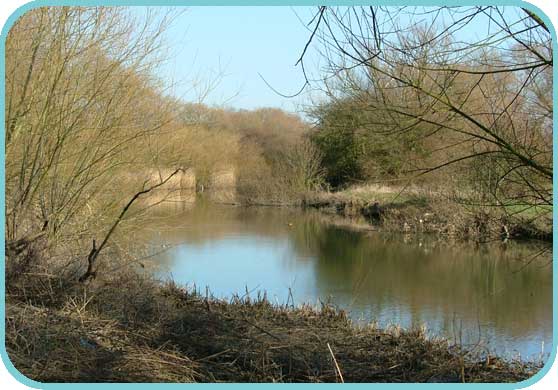 The Great Stour River borders this reserve thumb