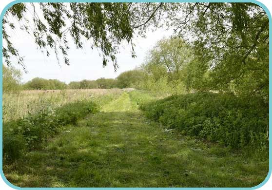 New paths give the public a clear view of the reserve thumb